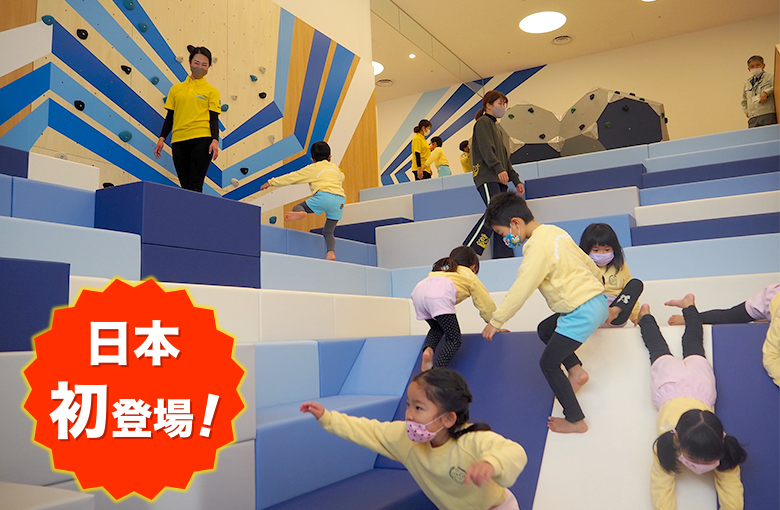 ステップクライマー